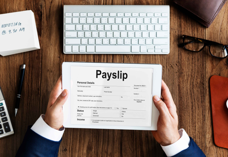 Advanced Payslip Software